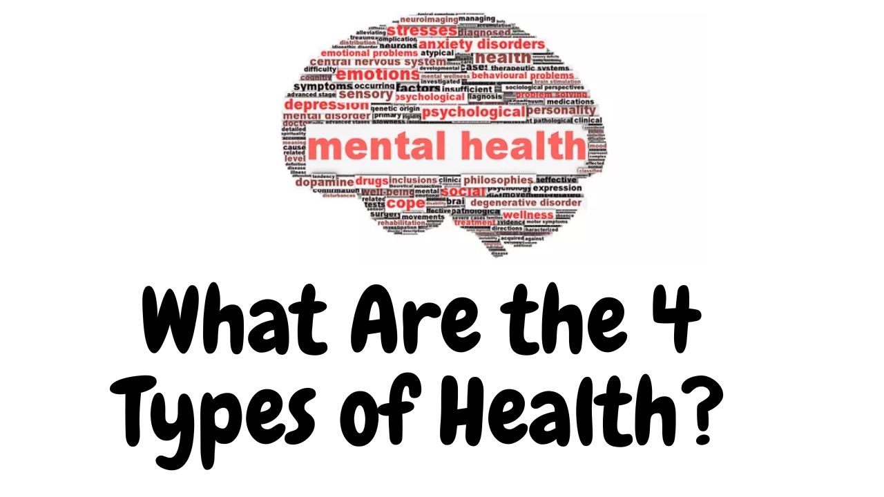 What Are the 4 Types of Health? Moviez News Hub